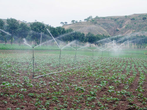 �c���鿴Ԕ��(x��)��Ϣ��(bi��o)�}����̶����� ��x�Δ�(sh��)��2720