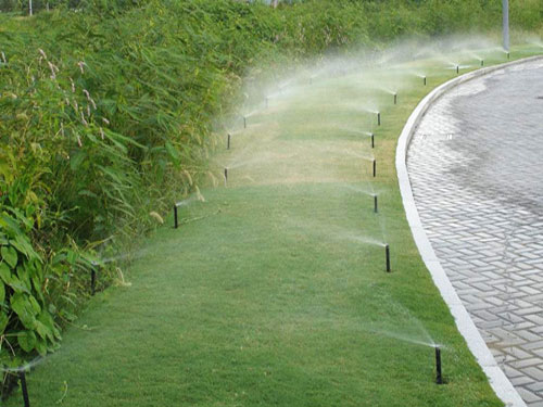 �c(di��n)���鿴Ԕ��(x��)��Ϣ��(bi��o)�}����ƺ���� ��x�Δ�(sh��)��3169