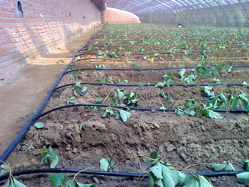 �c(di��n)���鿴Ԕ��(x��)��Ϣ��(bi��o)�}�������ݮ�ι�� ��x�Δ�(sh��)��2864