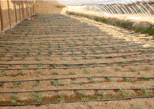 �c(di��n)���鿴Ԕ��(x��)��Ϣ��(bi��o)�}������ι�� ��x�Δ�(sh��)��2795