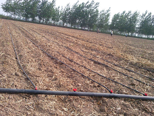 �c(di��n)���鿴Ԕ��(x��)��Ϣ��(bi��o)�}������ι� ��x�Δ�(sh��)��2931