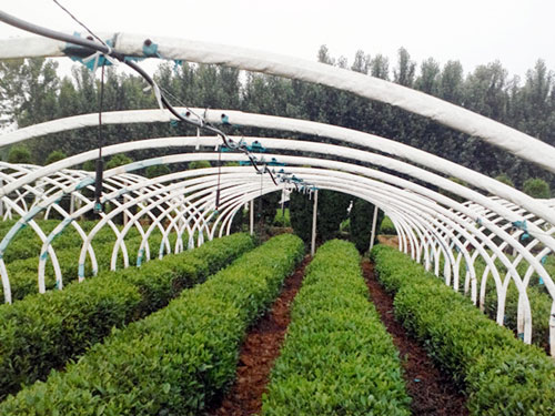 �c(di��n)���鿴Ԕ��(x��)��Ϣ��(bi��o)�}�����~΢�� ��x�Δ�(sh��)��2751