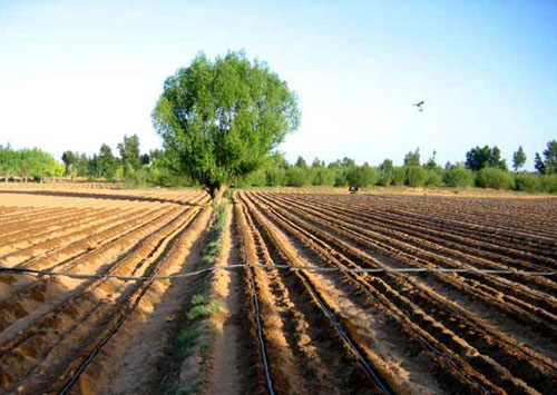 �c(di��n)���鿴Ԕ��(x��)��Ϣ��(bi��o)�}���ι� ��x�Δ�(sh��)��2985