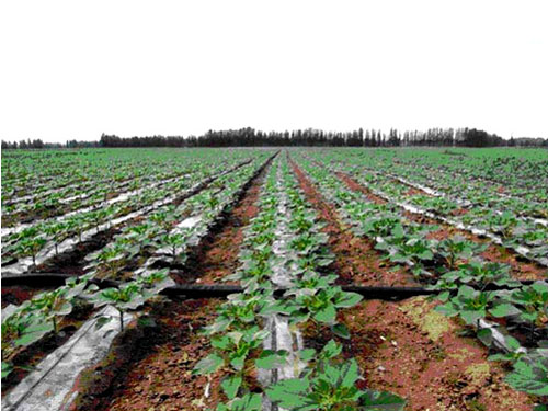 �c(di��n)���鿴Ԕ��(x��)��Ϣ��(bi��o)�}���ι� ��x�Δ�(sh��)��2874