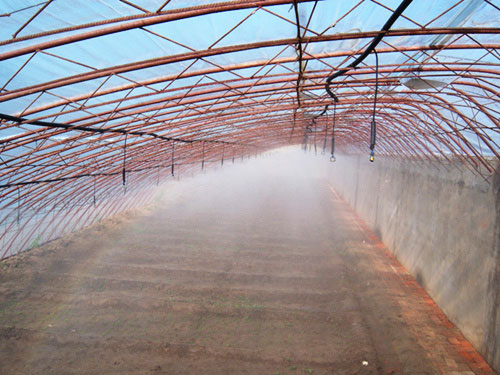 �c(di��n)���鿴Ԕ��(x��)��Ϣ��(bi��o)�}�������F�� ��x�Δ�(sh��)��3138