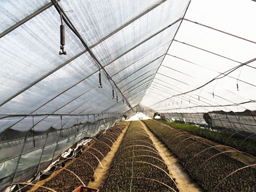 �c(di��n)���鿴Ԕ��(x��)��Ϣ��(bi��o)�}�������F���B�� ��x�Δ�(sh��)��2952