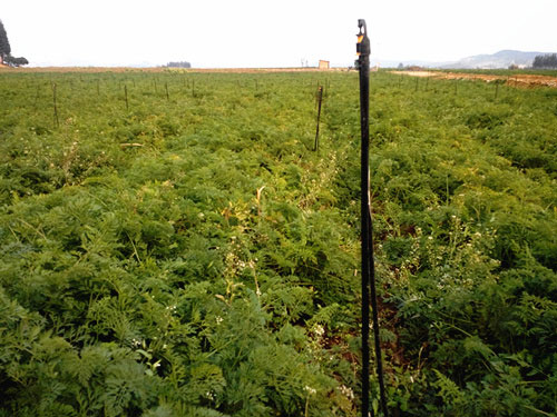 �c(di��n)���鿴Ԕ��(x��)��Ϣ��(bi��o)�}��ˎ�ĸߗU΢�� ��x�Δ�(sh��)��5163