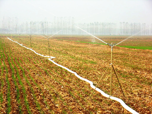 �c(di��n)���鿴Ԕ��(x��)��Ϣ��(bi��o)�}���Ƅ�(d��ng)���� ��x�Δ�(sh��)��6091