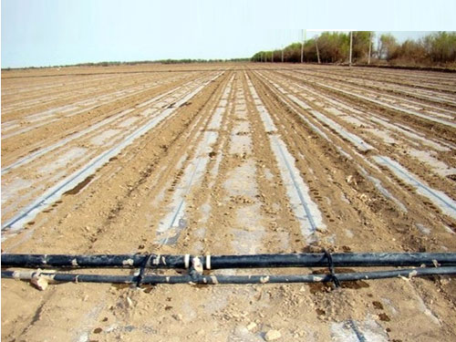 �c(di��n)���鿴Ԕ��(x��)��Ϣ��(bi��o)�}������Ĥ�ιܾW(w��ng)ʩ�� ��x�Δ�(sh��)��5086