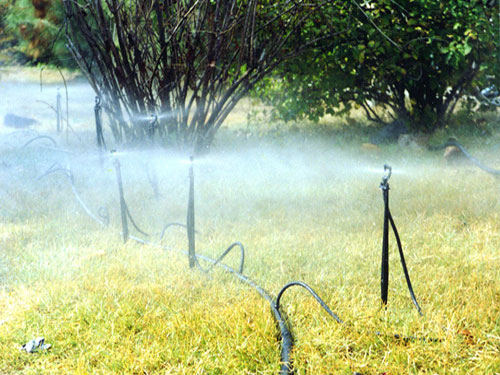 �c(di��n)���鿴Ԕ��(x��)��Ϣ��(bi��o)�}������΢�� ��x�Δ�(sh��)��5250