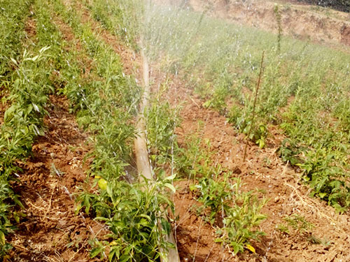 �c(di��n)���鿴Ԕ��(x��)��Ϣ��(bi��o)�}���ֵ؇����� ��x�Δ�(sh��)��5113