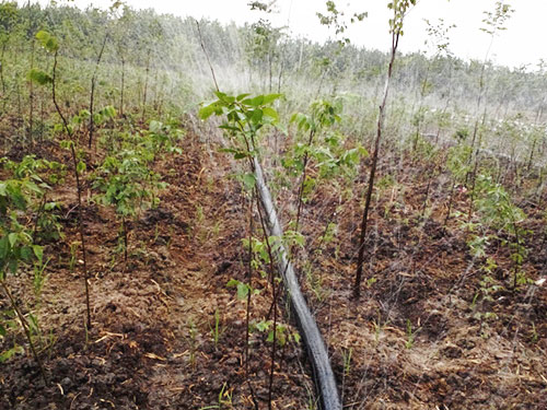 �c(di��n)���鿴Ԕ��(x��)��Ϣ��(bi��o)�}���ֵ؇����� ��x�Δ�(sh��)��5371