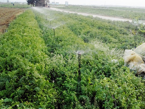 �c(di��n)���鿴Ԕ��(x��)��Ϣ��(bi��o)�}��ˎ�ĸߗU΢���^ ��x�Δ�(sh��)��5314