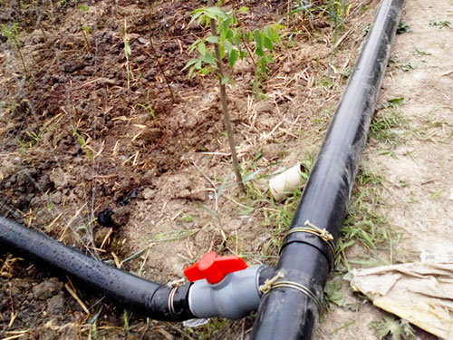 �c(di��n)���鿴Ԕ��(x��)��Ϣ��(bi��o)�}���ֵ؇����� ��x�Δ�(sh��)��5319