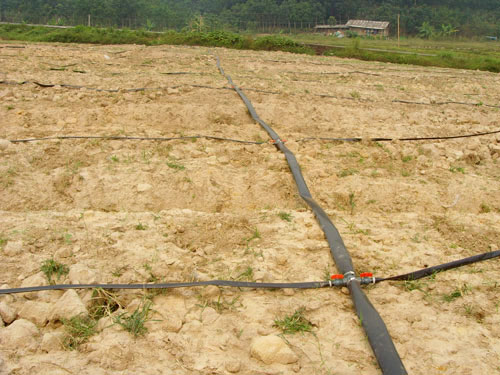 �c(di��n)���鿴Ԕ��(x��)��Ϣ��(bi��o)�}��΢�����B�� ��x�Δ�(sh��)��5389