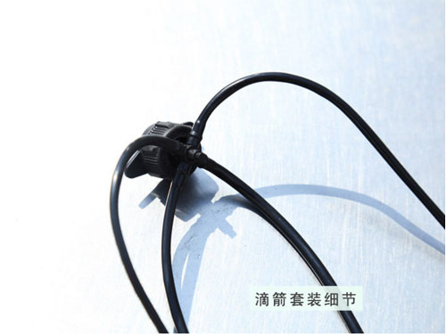 �c���鿴Ԕ����Ϣ���}���μ����b����(ji��) ��x�Δ�(sh��)��2503