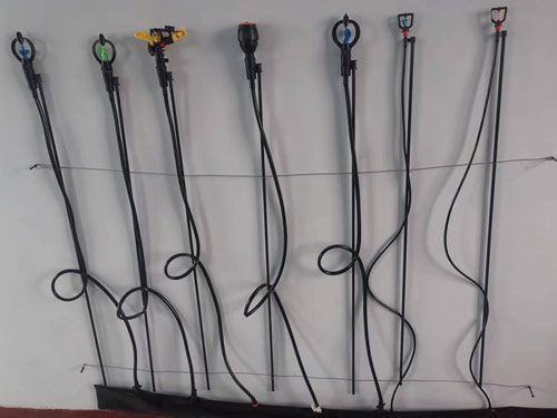 �c(di��n)���鿴Ԕ��(x��)��Ϣ��(bi��o)�}�������w�S�U�ز�΢�� ��x�Δ�(sh��)��1169